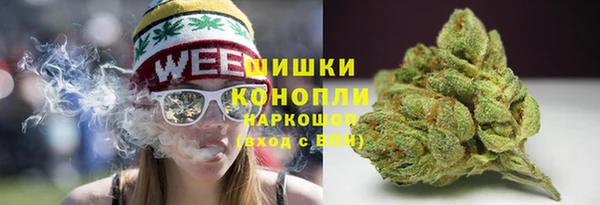 индика Протвино