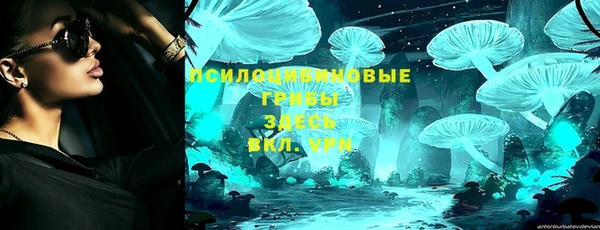 мяу мяу мука Балабаново