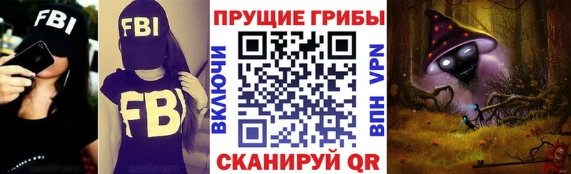 Псилоцибиновые грибы мицелий  где купить   Озёры 